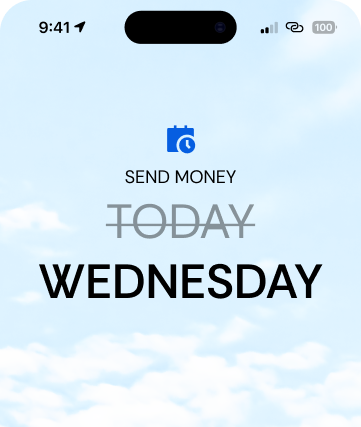 Schedule Payment